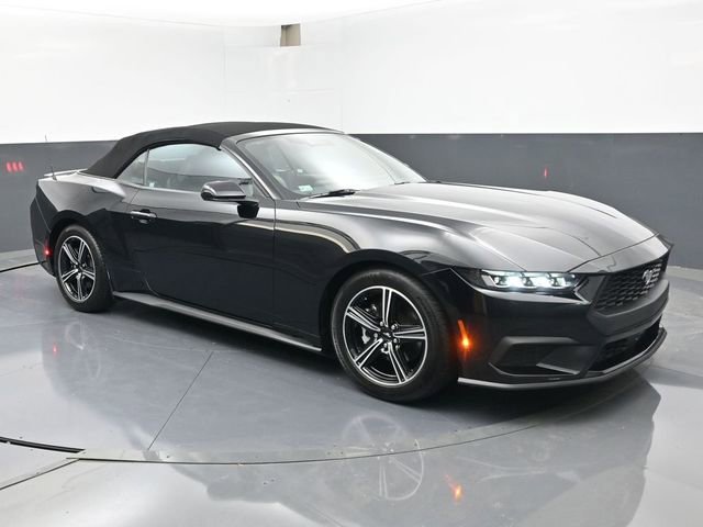 Used 2024 Ford Mustang Premium RWD image 2