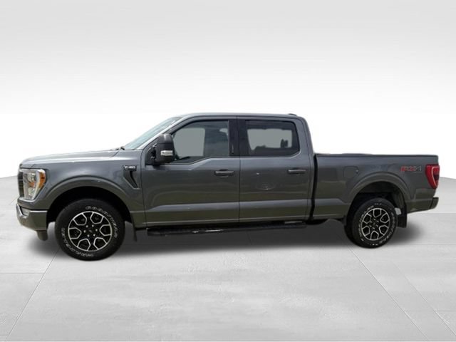 Used 2023 Ford F150 XLT w/ Equipment Group 302A High AWD/4WD image 13