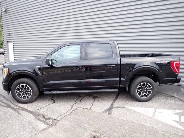 Used 2023 Ford F150 XLT w/ Equipment Group 302A High AWD/4WD image 2