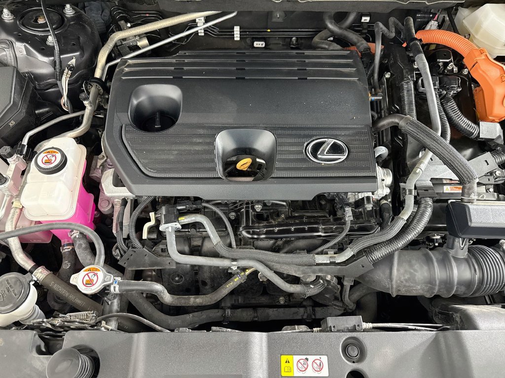 Certified 2024 Lexus NX 350h AWD w/ Cold Area Package image 31