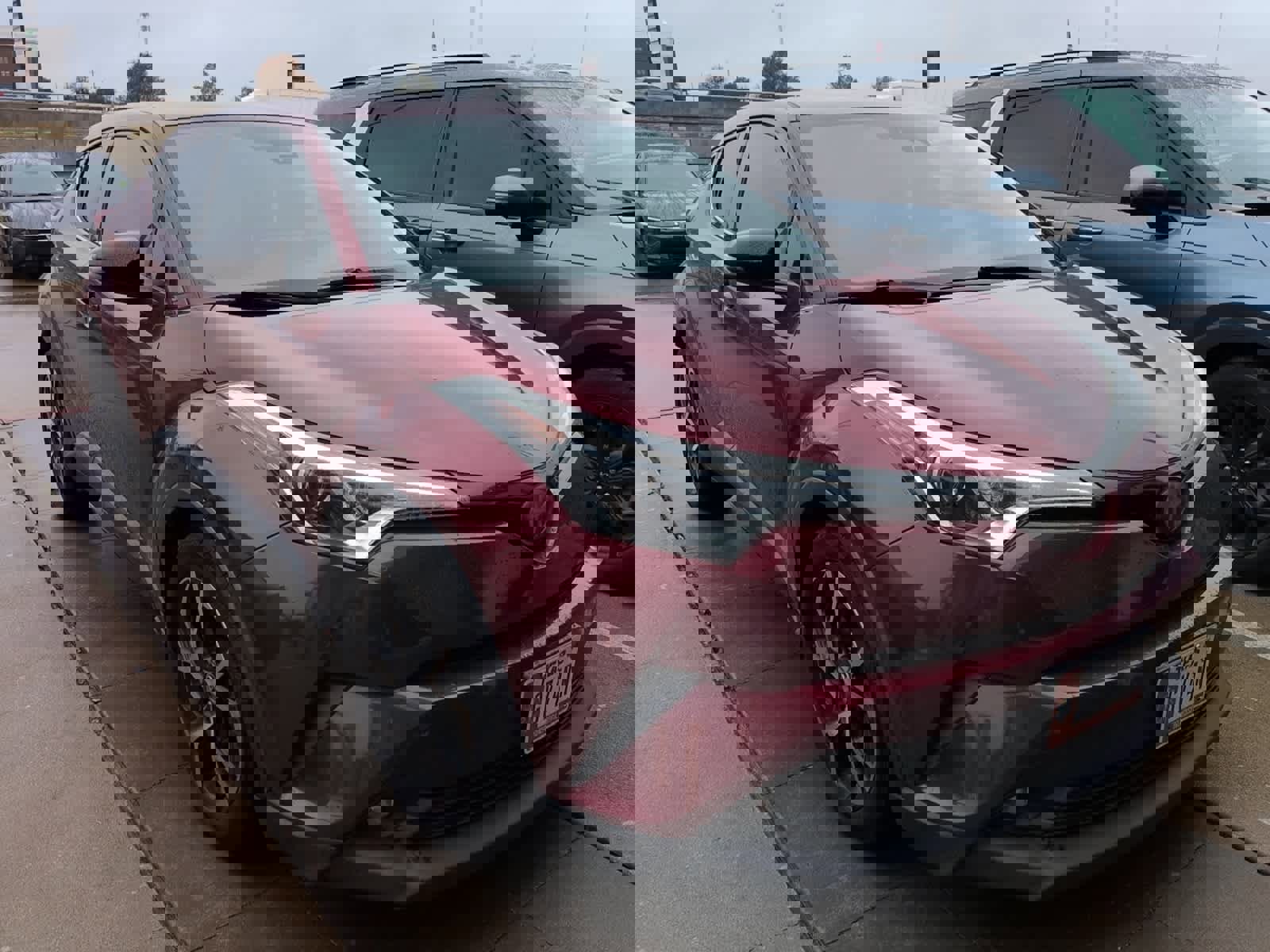 Used 2019 Toyota C-HR Limited image 3