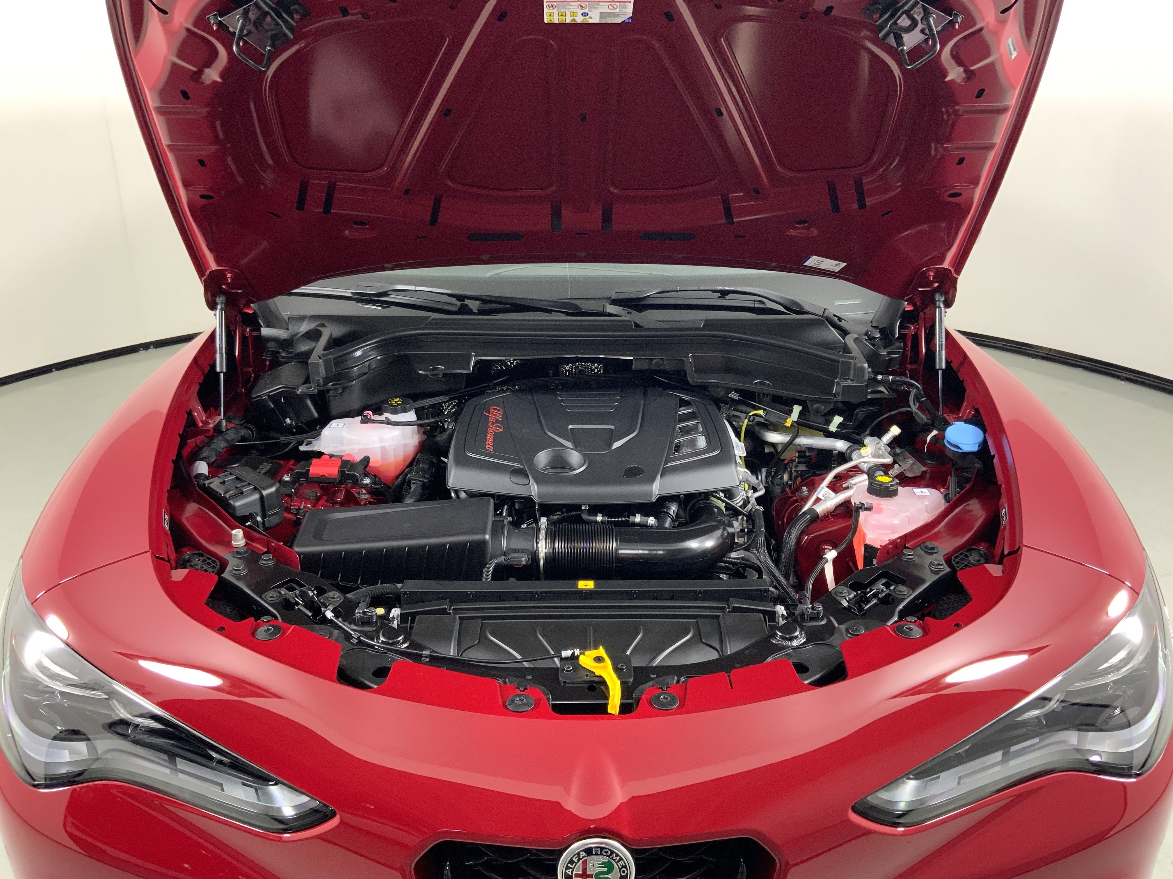 New 2025 Alfa Romeo Stelvio Sprint w/ Convenience Package image 8