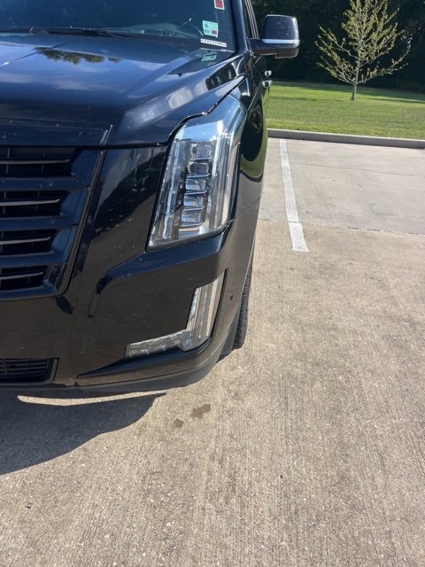Used 2020 Cadillac Escalade Platinum image 10