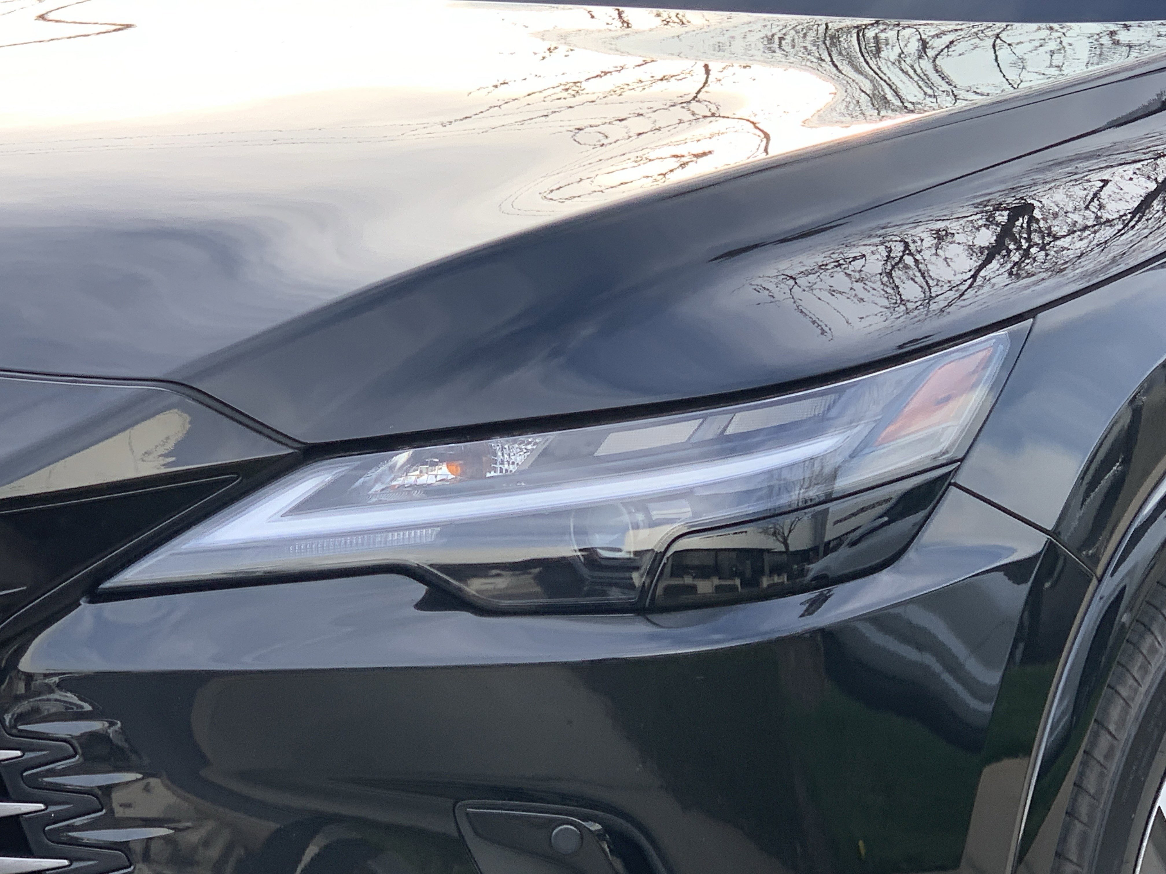 Certified 2023 Lexus RX 350h w/ Cold Area Package image 6