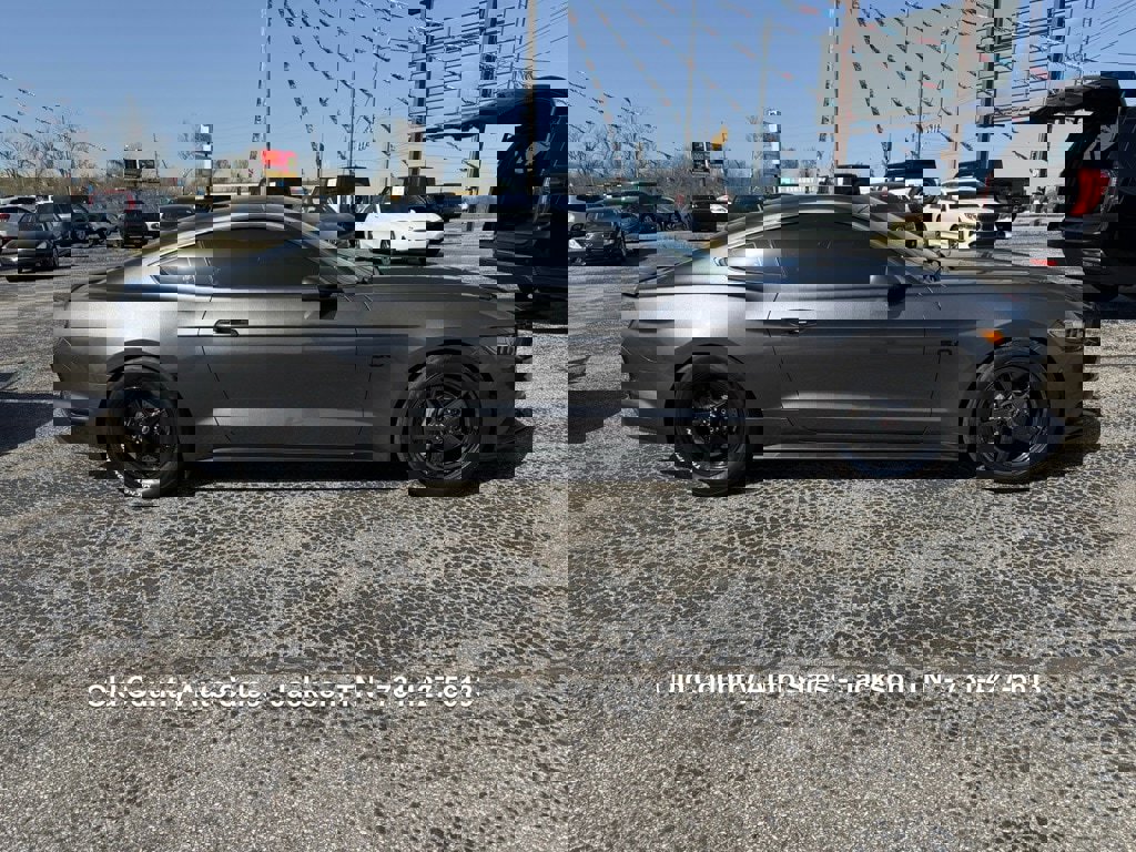 Used 2016 Ford Mustang GT w/ Interior & Wheel Package image 5