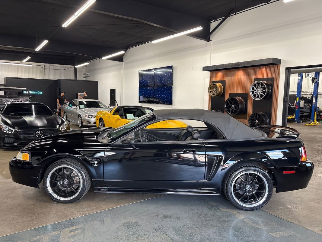 Used 1999 Ford Mustang Cobra RWD image 5