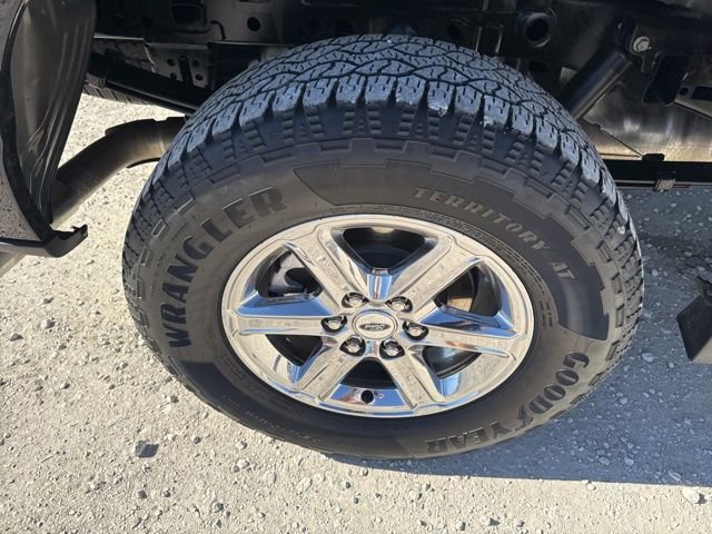 Used 2025 Ford F150 XLT w/ Equipment Group 301A Standard image 14