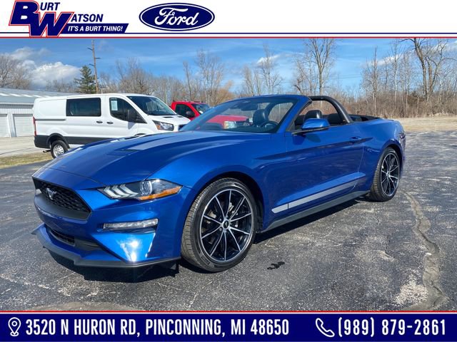 Used 2022 Ford Mustang Premium image 1