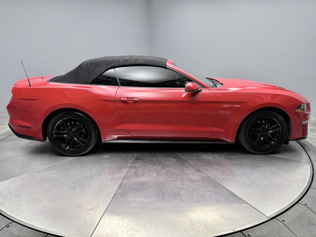 Used 2019 Ford Mustang Premium RWD image 4
