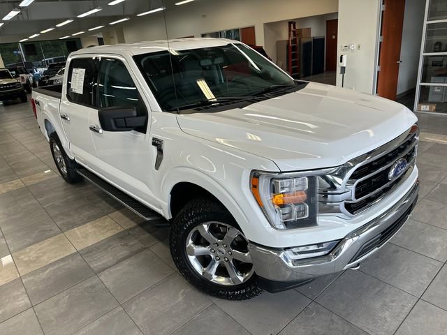 Used 2021 Ford F150 XLT w/ Equipment Group 302A High AWD/4WD image 12