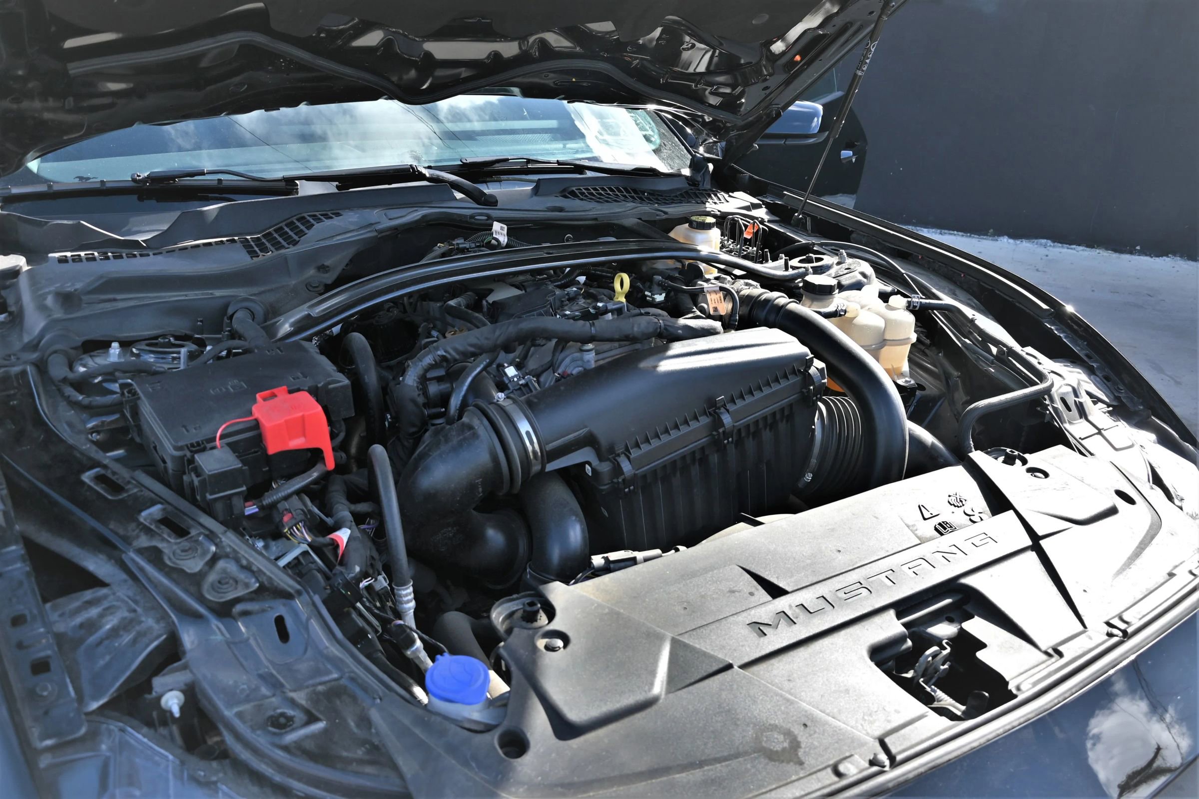 Used 2025 Ford Mustang Premium RWD image 21