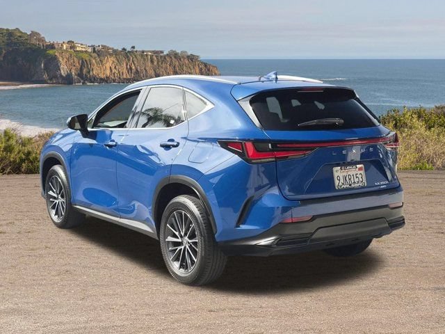 Used 2024 Lexus NX 350h AWD image 7