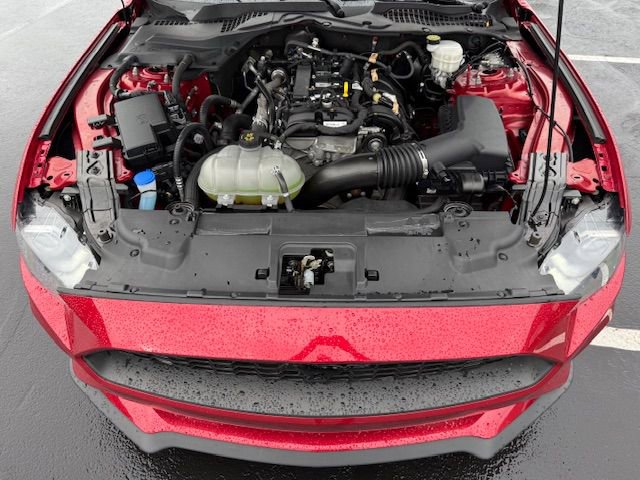 Used 2023 Ford Mustang Coupe w/ Equipment Group 101A image 29