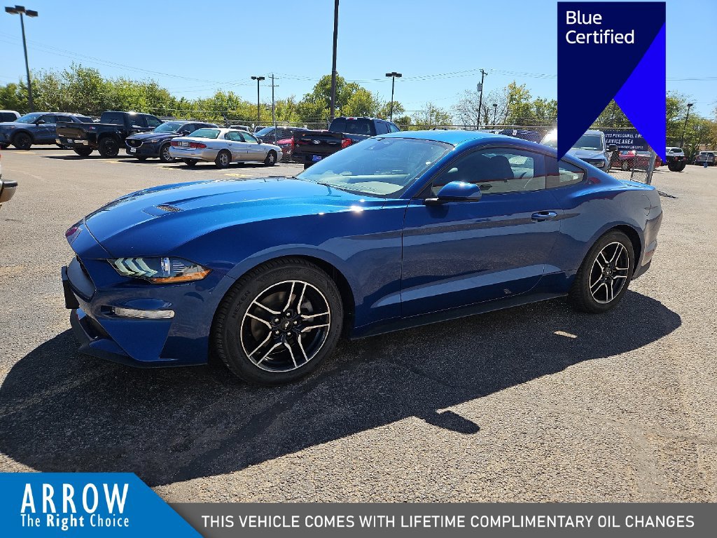 Certified 2023 Ford Mustang Coupe w/ Equipment Group 101A RWD image 5