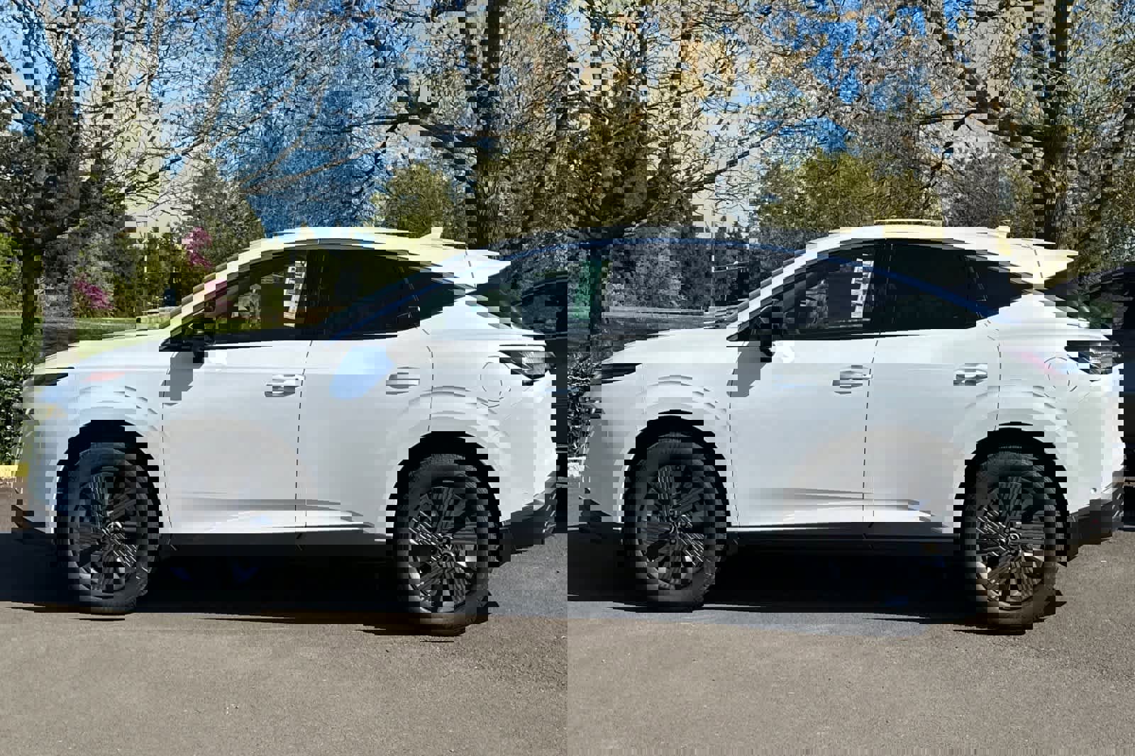 New 2025 Nissan Murano SL image 5