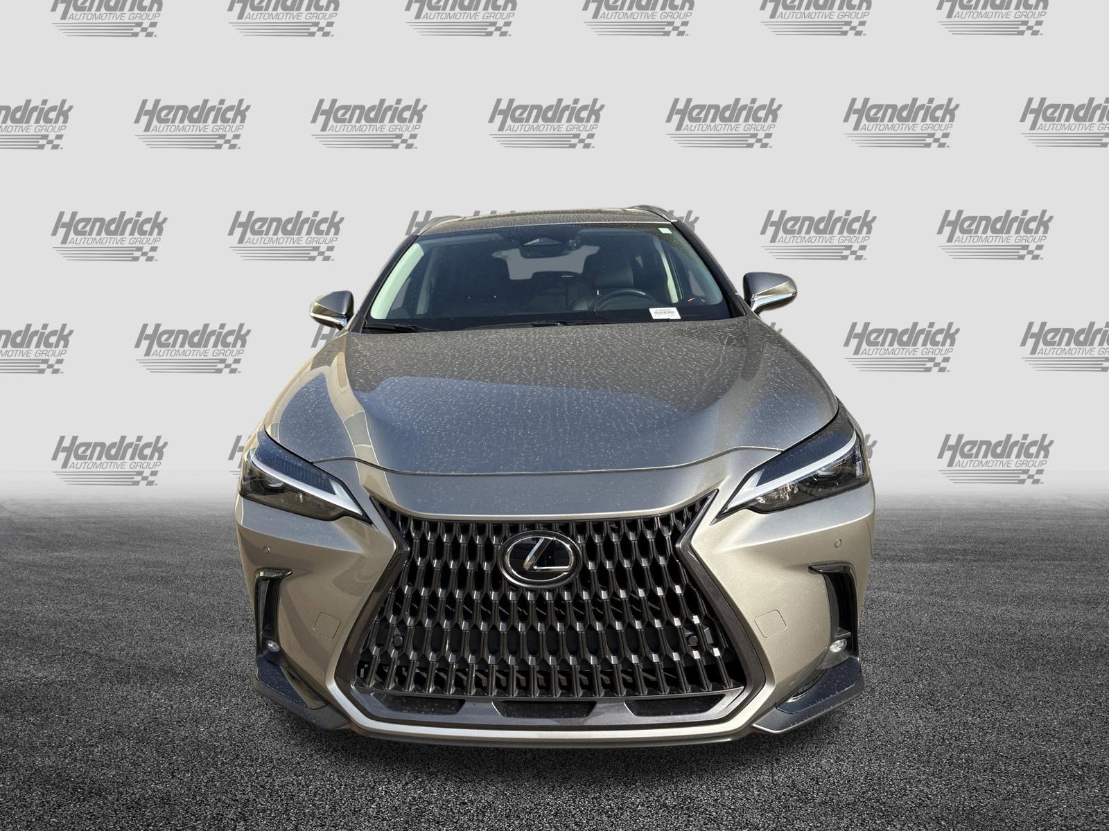 Used 2025 Lexus NX 350 AWD w/ Cold Area Package image 3