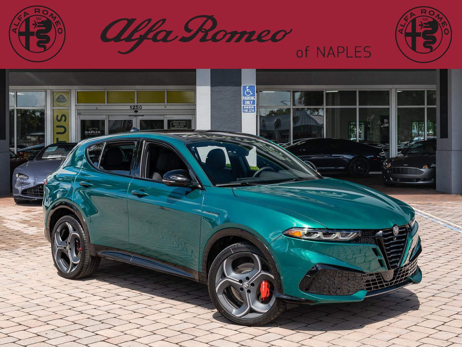 New 2026 Alfa Romeo Tonale w/ Quick Order Package 23H Volce