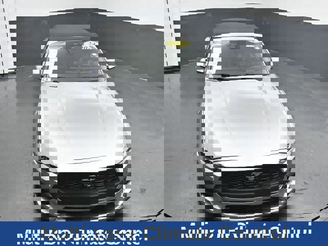Certified 2024 Ford Mustang Premium RWD image 18