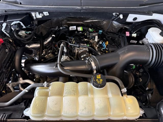 Used 2019 Ford F150 XL w/ Equipment Group 101A Mid image 26