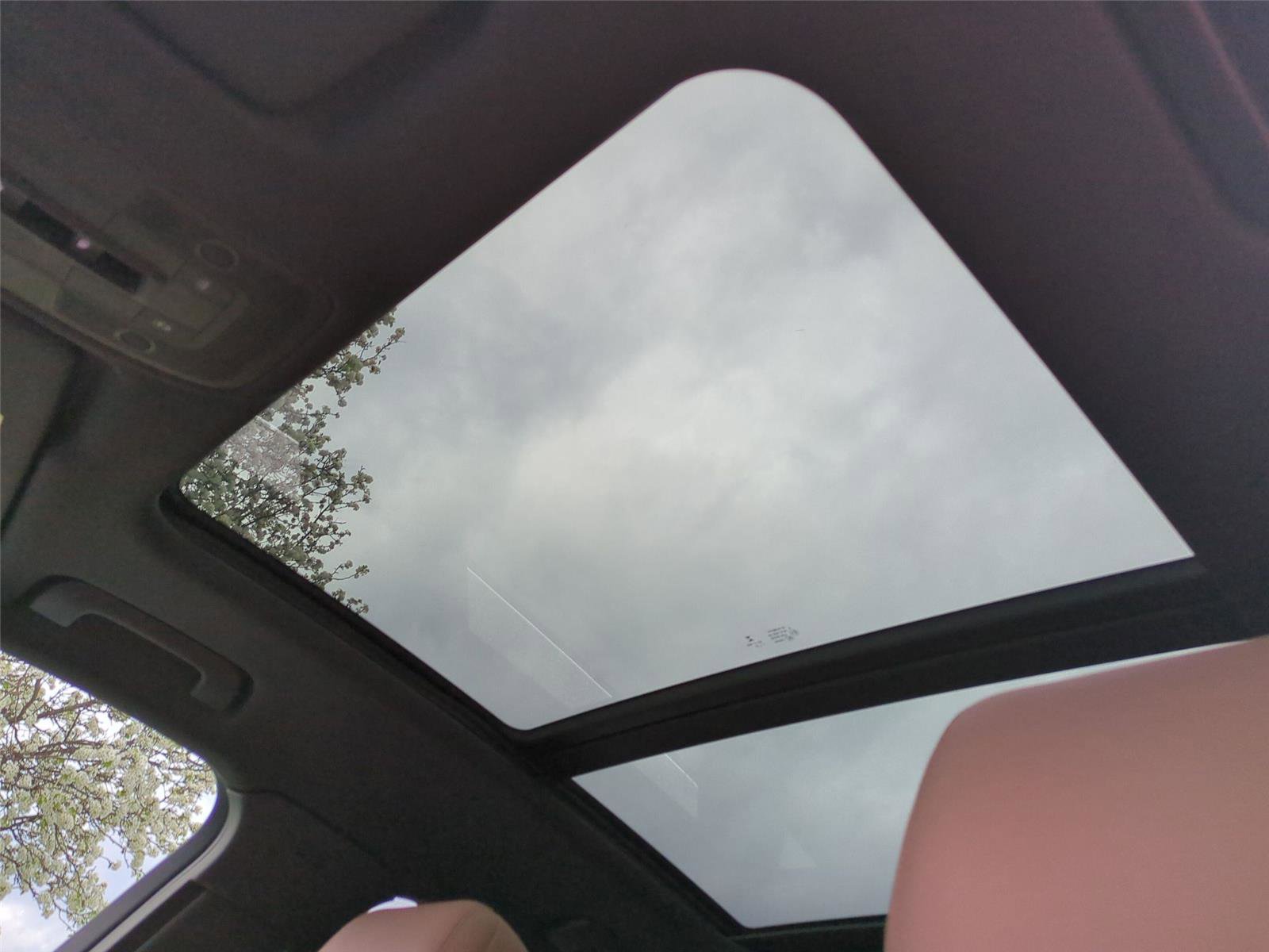 Used 2019 Audi Q3 2.0T Premium Plus w/ Premium Plus Package image 10