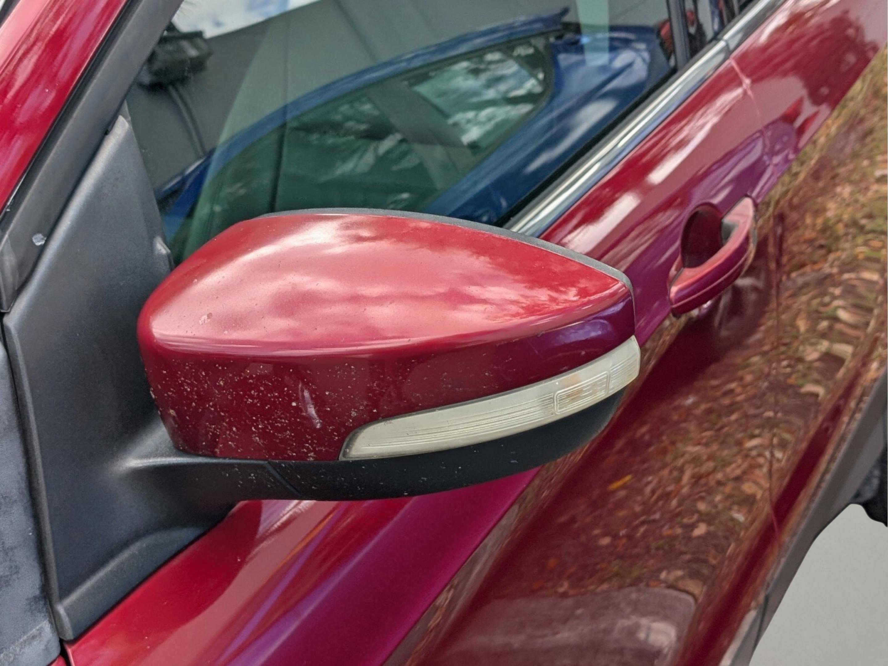 Used 2013 Ford Escape SEL image 14