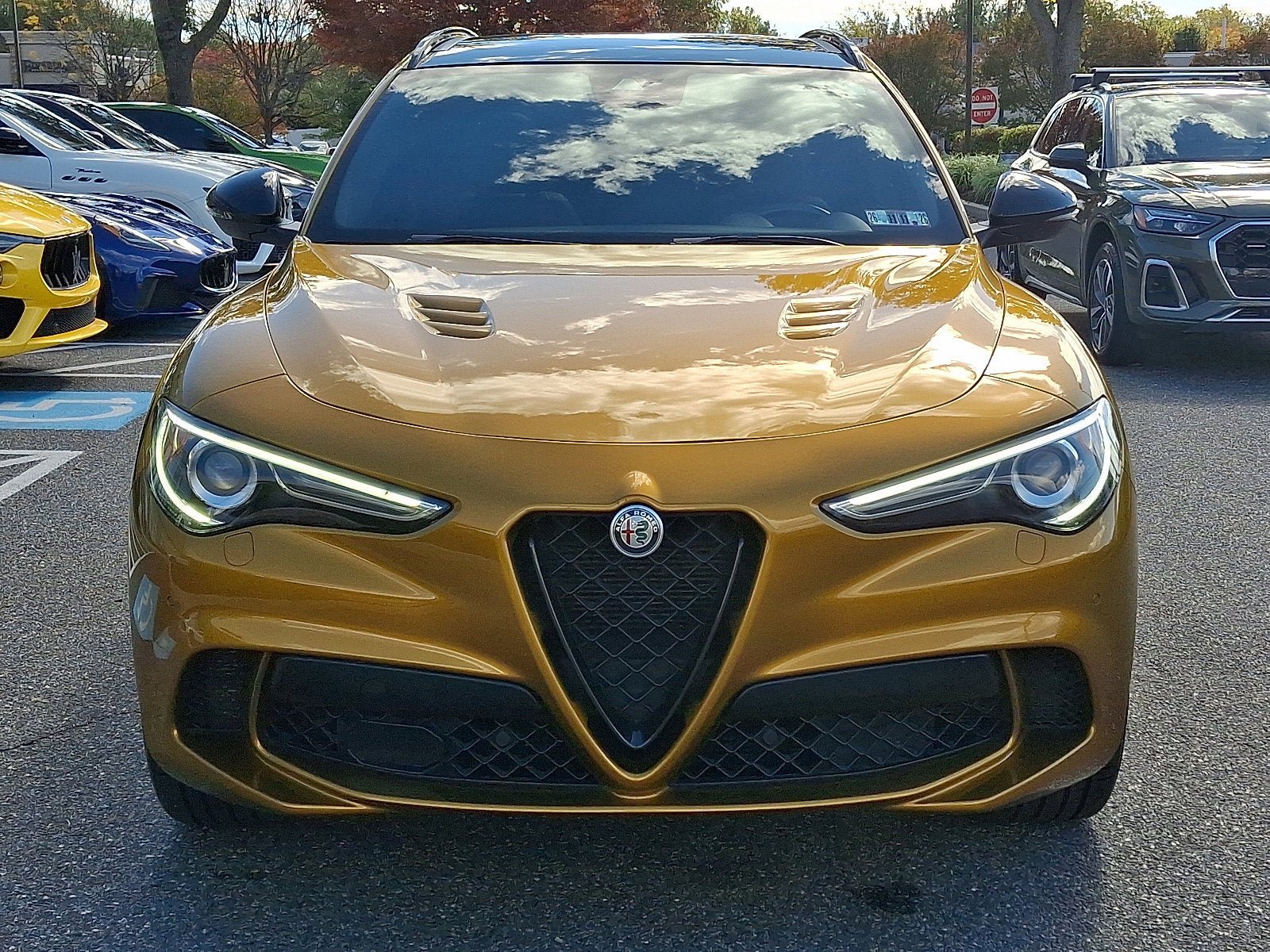 Used 2022 Alfa Romeo Stelvio Quadrifoglio w/ Active Assist Plus Package AWD/4WD image 2