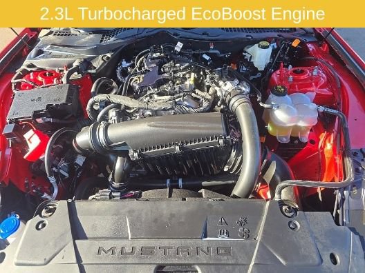 Used 2025 Ford Mustang Premium RWD image 13