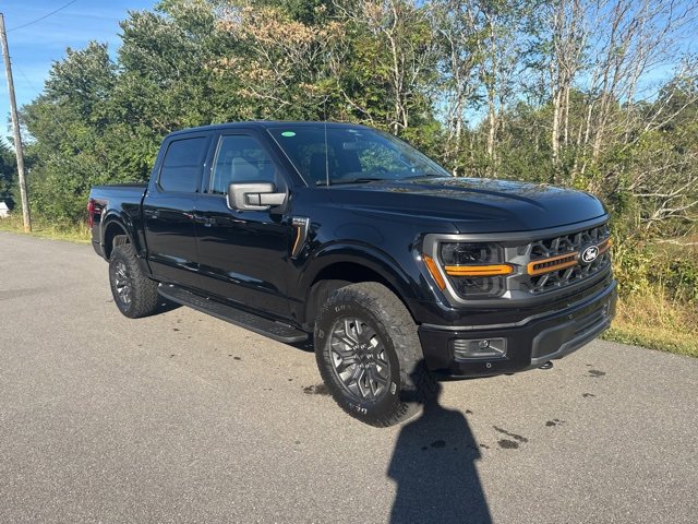 New 2025 Ford F150 Tremor image 46