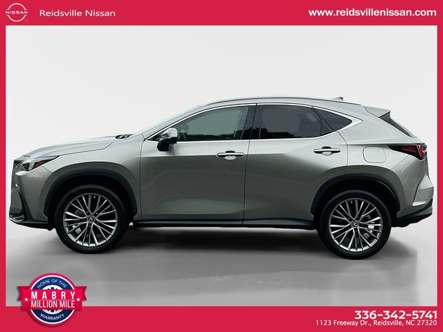 Used 2025 Lexus NX 350 AWD w/ Cold Area Package image 3