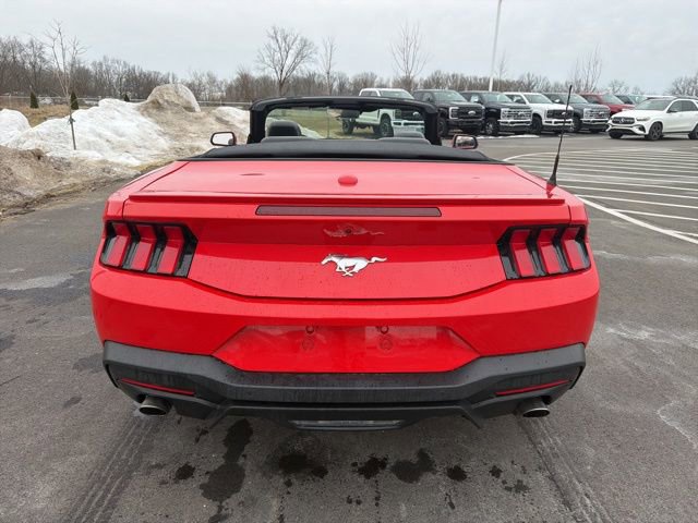 Used 2024 Ford Mustang Premium image 8