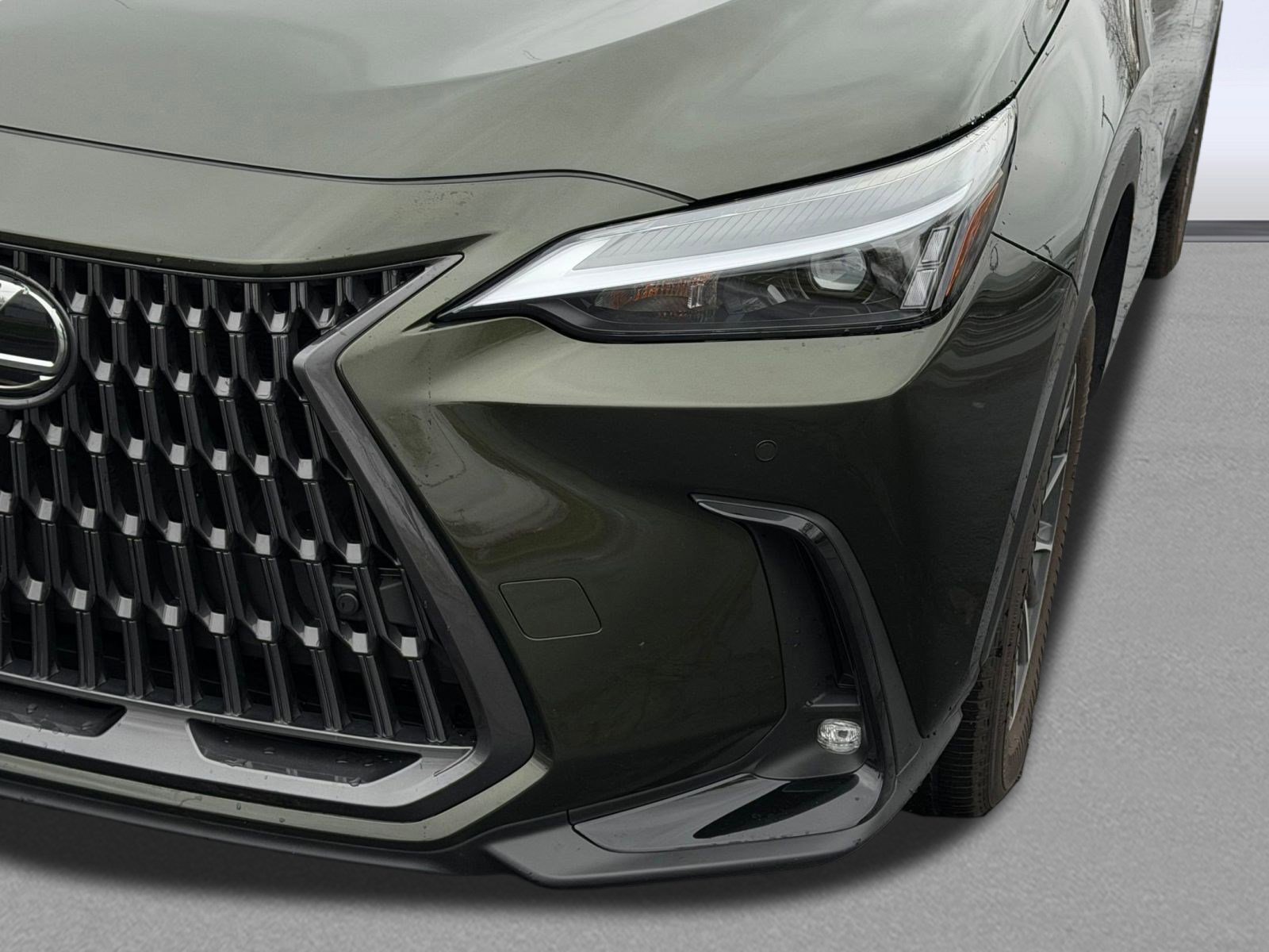 Certified 2025 Lexus NX 350 AWD w/ Cold Area Package image 12