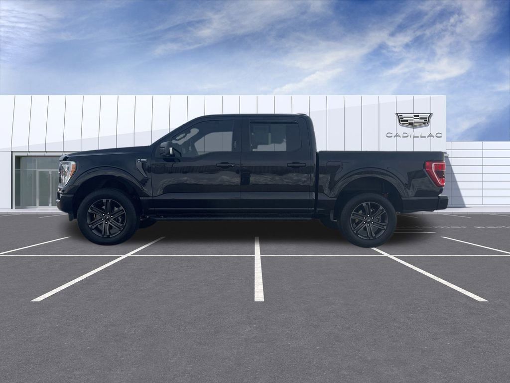 Used 2021 Ford F150 XLT w/ Equipment Group 302A High image 5
