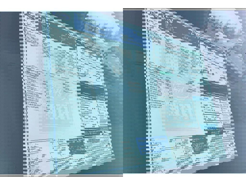 New 2025 Ford Transit 250 Low Roof AWD w/ Load Area Protection Package image 15