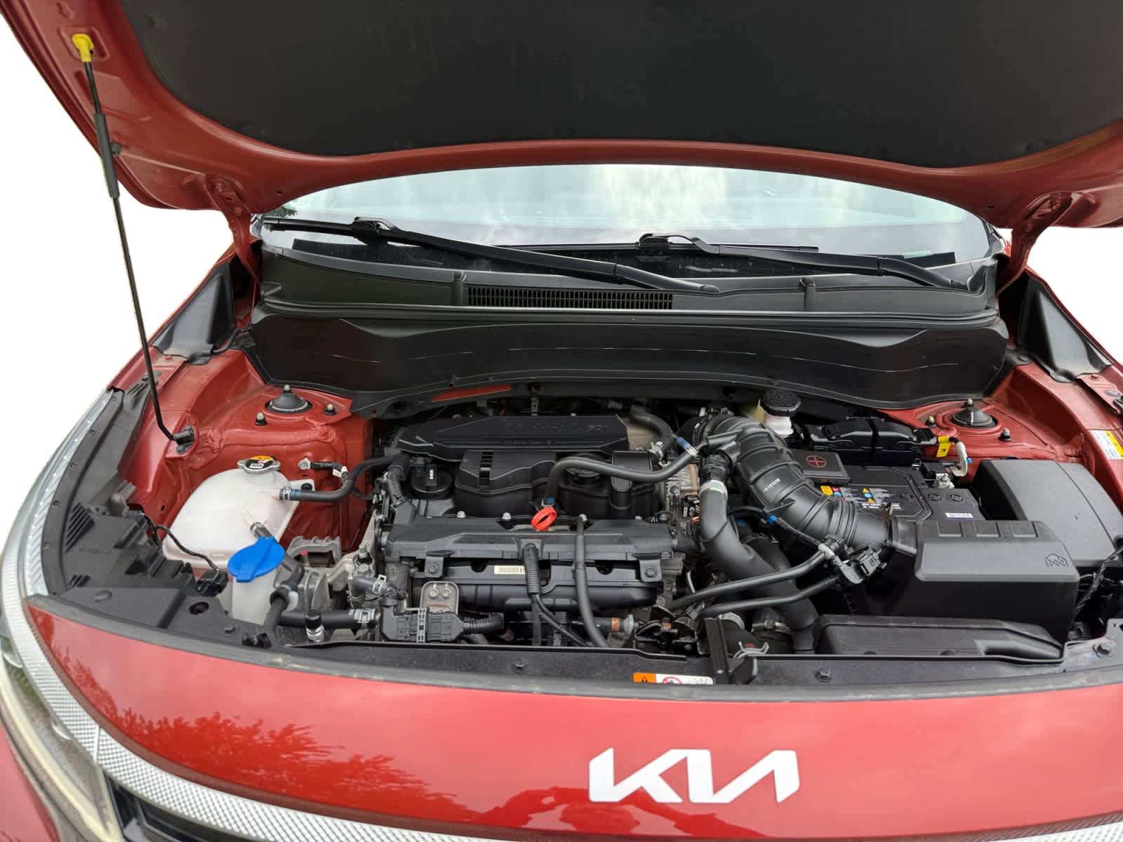 Used 2024 Kia Seltos SX AWD/4WD image 24