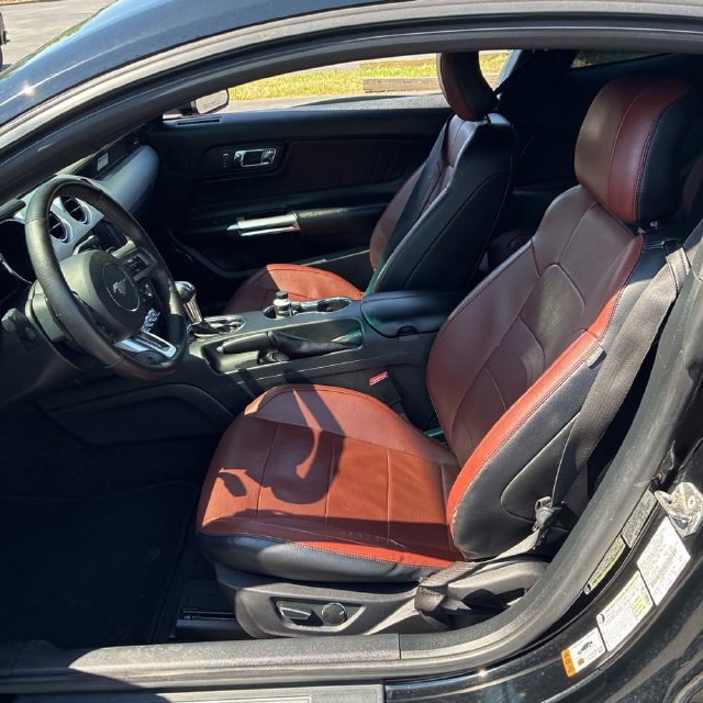 Used 2015 Ford Mustang GT Premium w/ Equipment Group 401A RWD image 16
