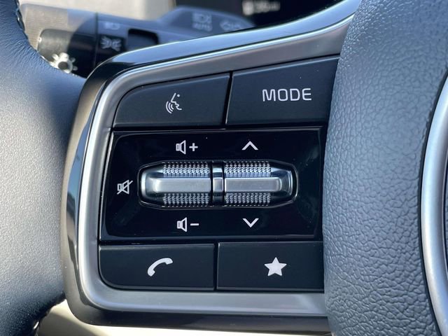 New 2026 Kia Carnival SX Prestige image 32