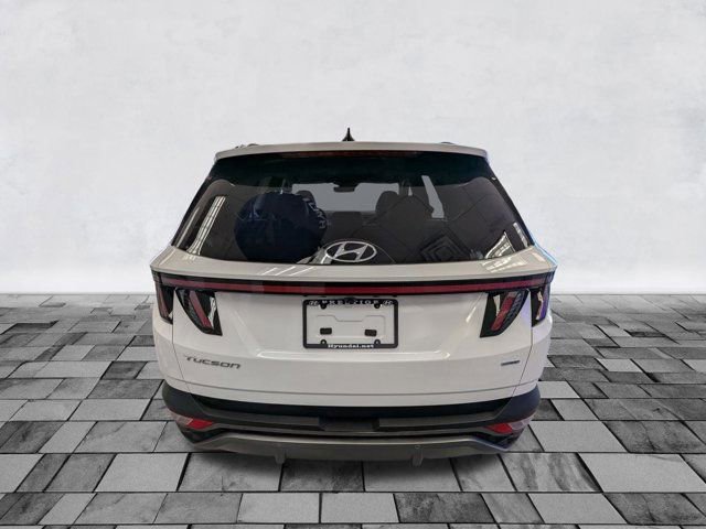 New 2024 Hyundai Tucson Limited image 3