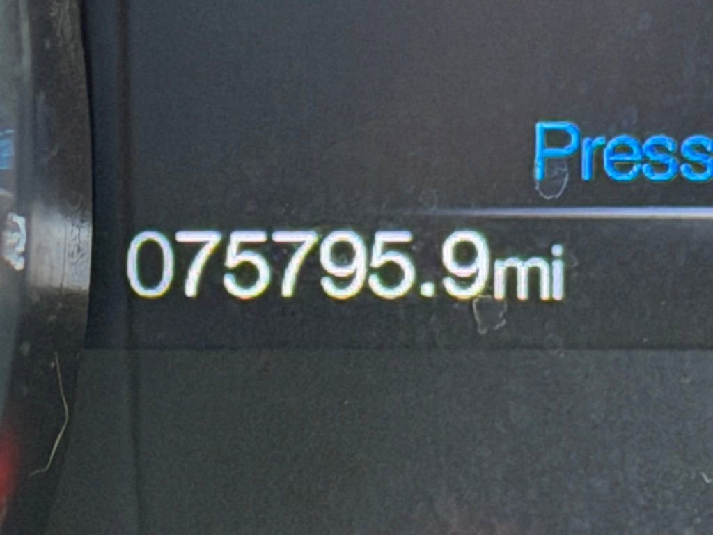 Used 2019 Ford Mustang EcoBoost w/ Equipment Group 101A image 23