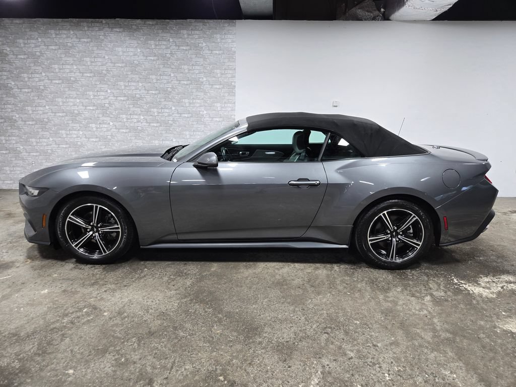 Used 2024 Ford Mustang Premium RWD image 3