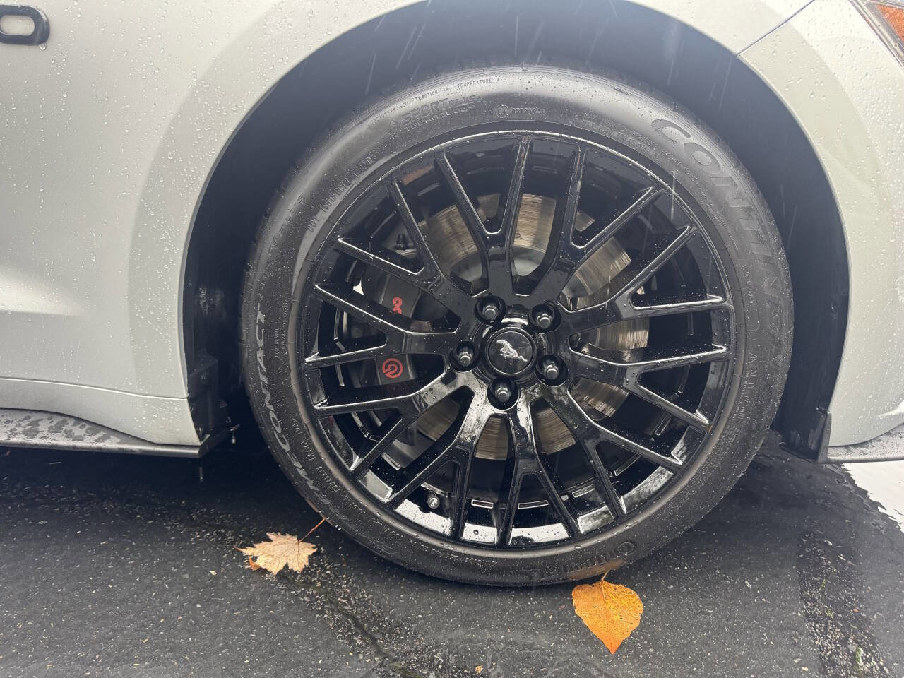 Used 2017 Ford Mustang GT w/ GT Performance Package image 14