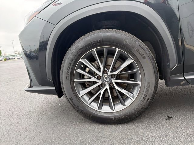 Used 2023 Lexus NX 350 AWD w/ Cold Area Package image 10