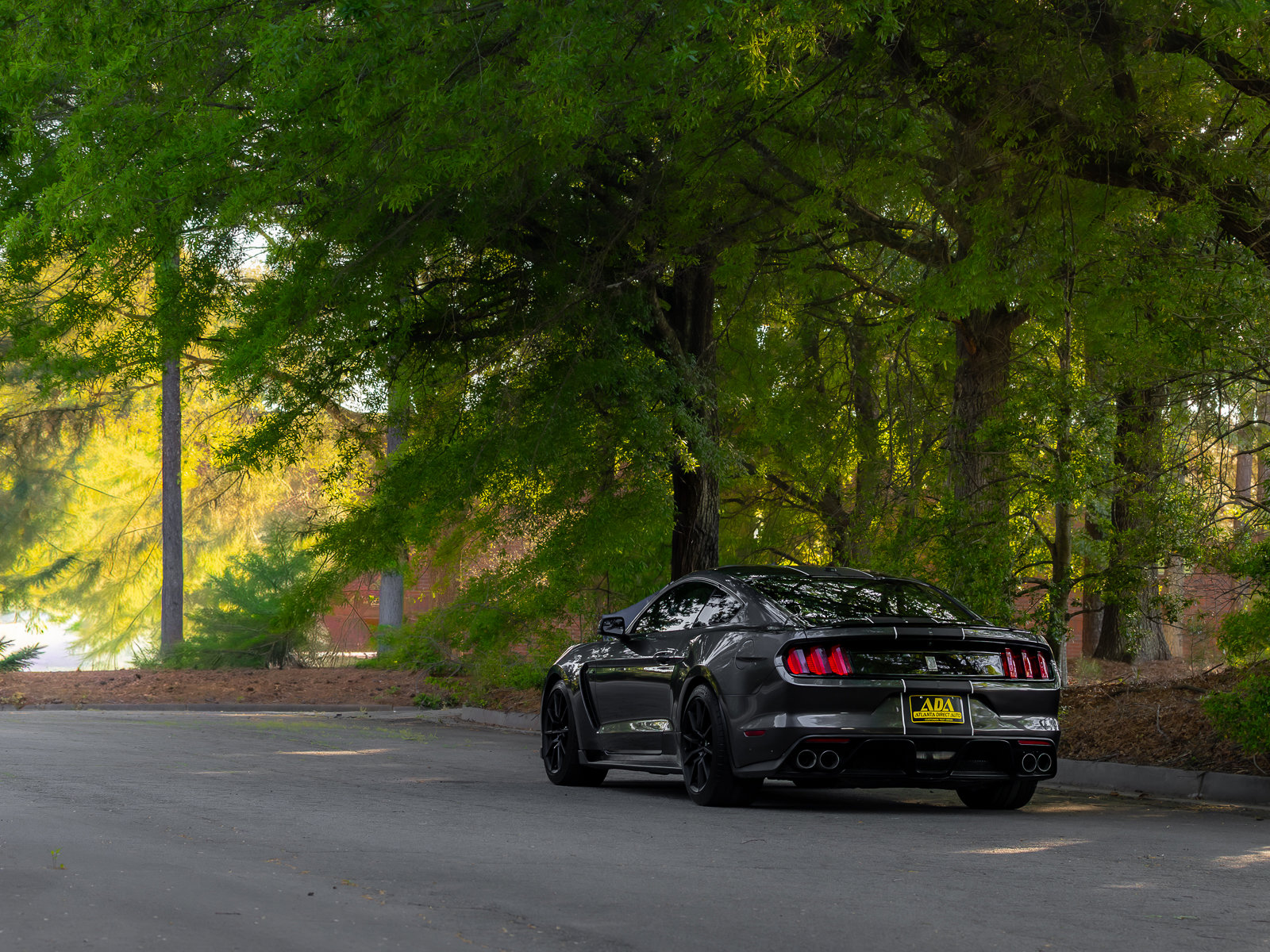 Used 2016 Ford Mustang Shelby GT350 w/ Technology Package RWD image 37