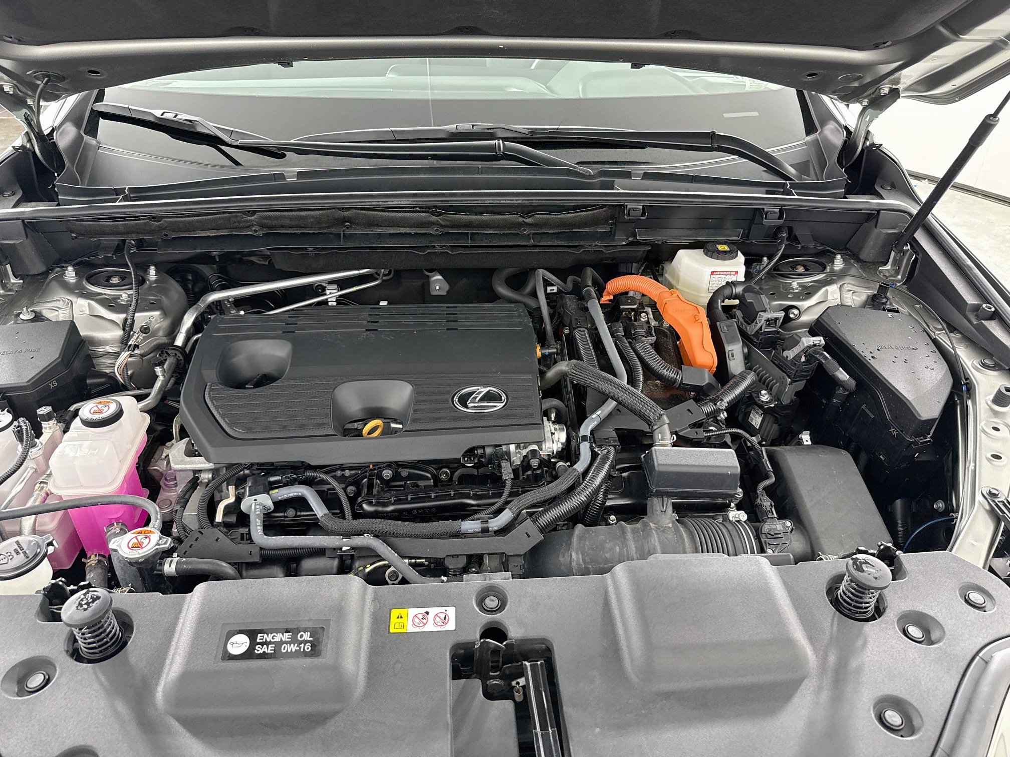 Certified 2024 Lexus NX 350h AWD w/ Cold Area Package image 28