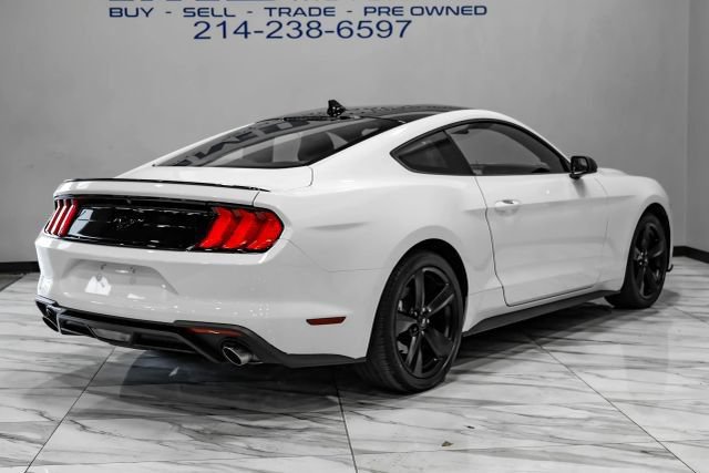 Used 2023 Ford Mustang Premium w/ Mustang Nite Pony Package RWD image 10