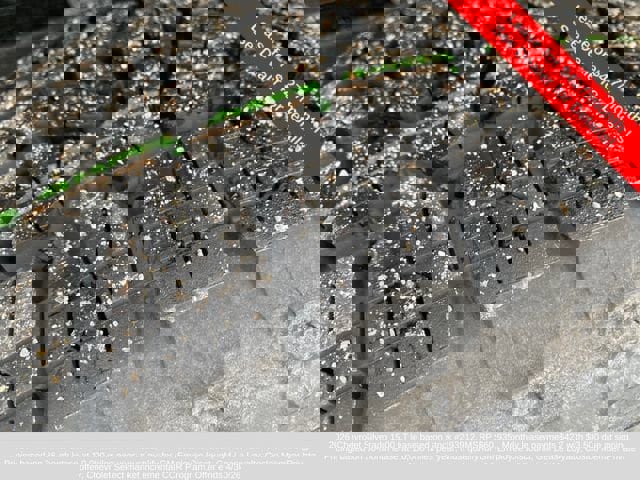 New 2026 Chevrolet Silverado 1500 LT image 13