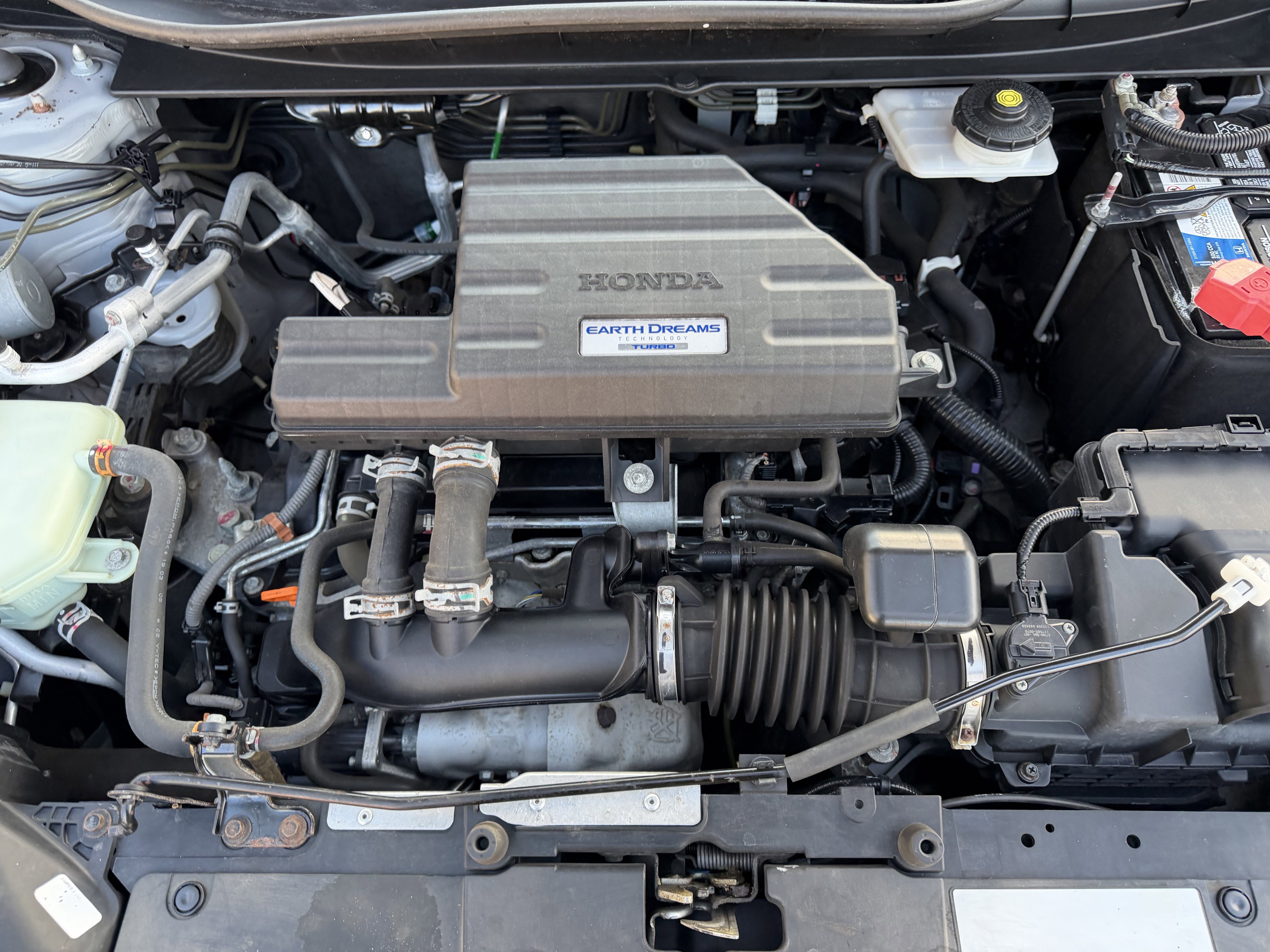 Certified 2019 Honda CR-V EX image 25