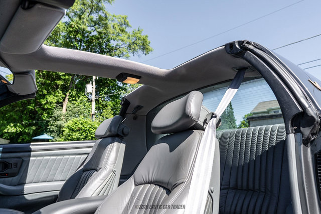 Used 1989 Pontiac Firebird Trans Am RWD image 65