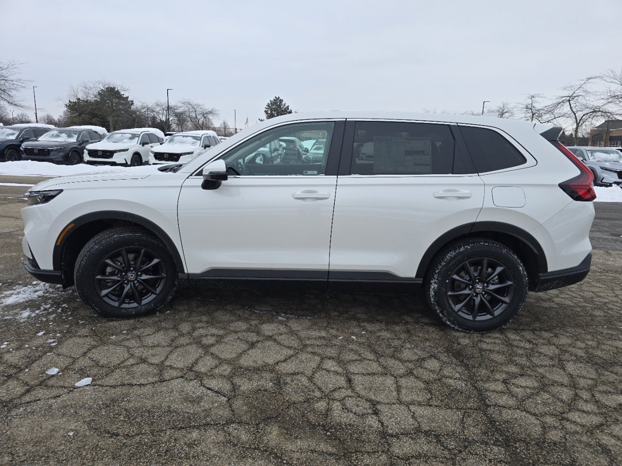 New 2026 Honda CR-V EX-L image 14