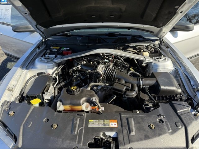Used 2014 Ford Mustang V6 w/ Equipment Group 102A image 20