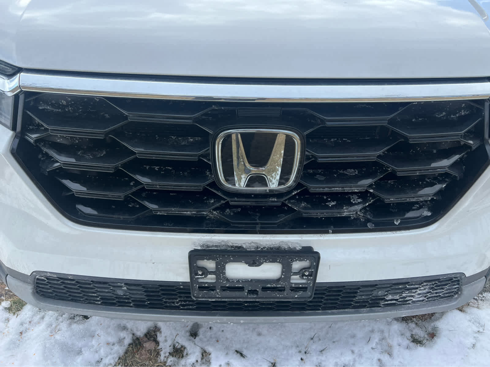 Used 2025 Honda Pilot Touring image 4